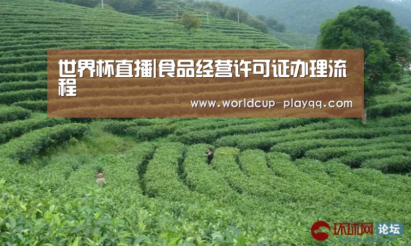 世界杯直播|食品经营许可证办理流程