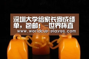 世界杯直播