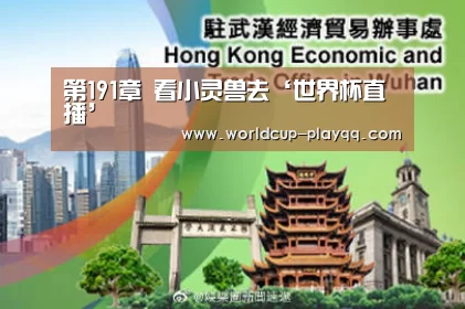2026世界杯赛程