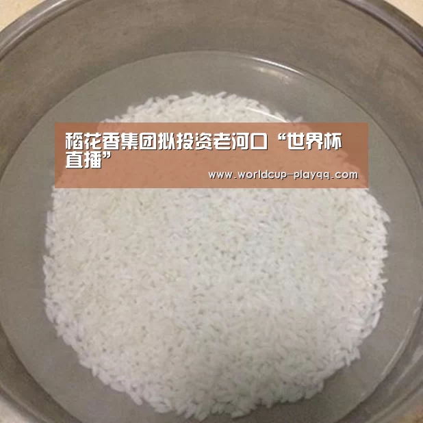 稻花香集团拟投资老河口“世界杯直播”(图4) 2026世界杯赛程