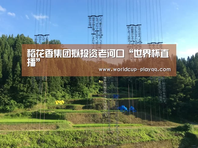 稻花香集团拟投资老河口“世界杯直播”(图3) 2026世界杯赛程