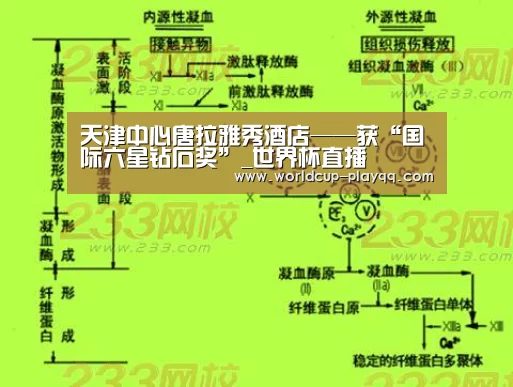 天津中心唐拉雅秀酒店——获“国际六星钻石奖”_世界杯直播(图2) 世界杯直播